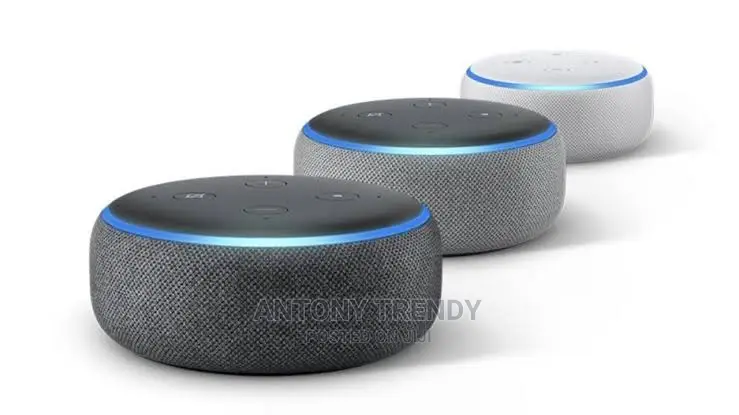 Smart Speaker. Amazon Echo Dot
