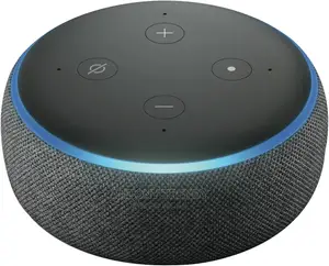 Smart Speaker. Amazon Echo Dot