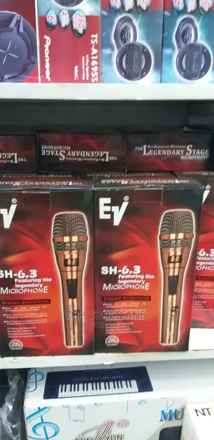 EV Dynamic Mic