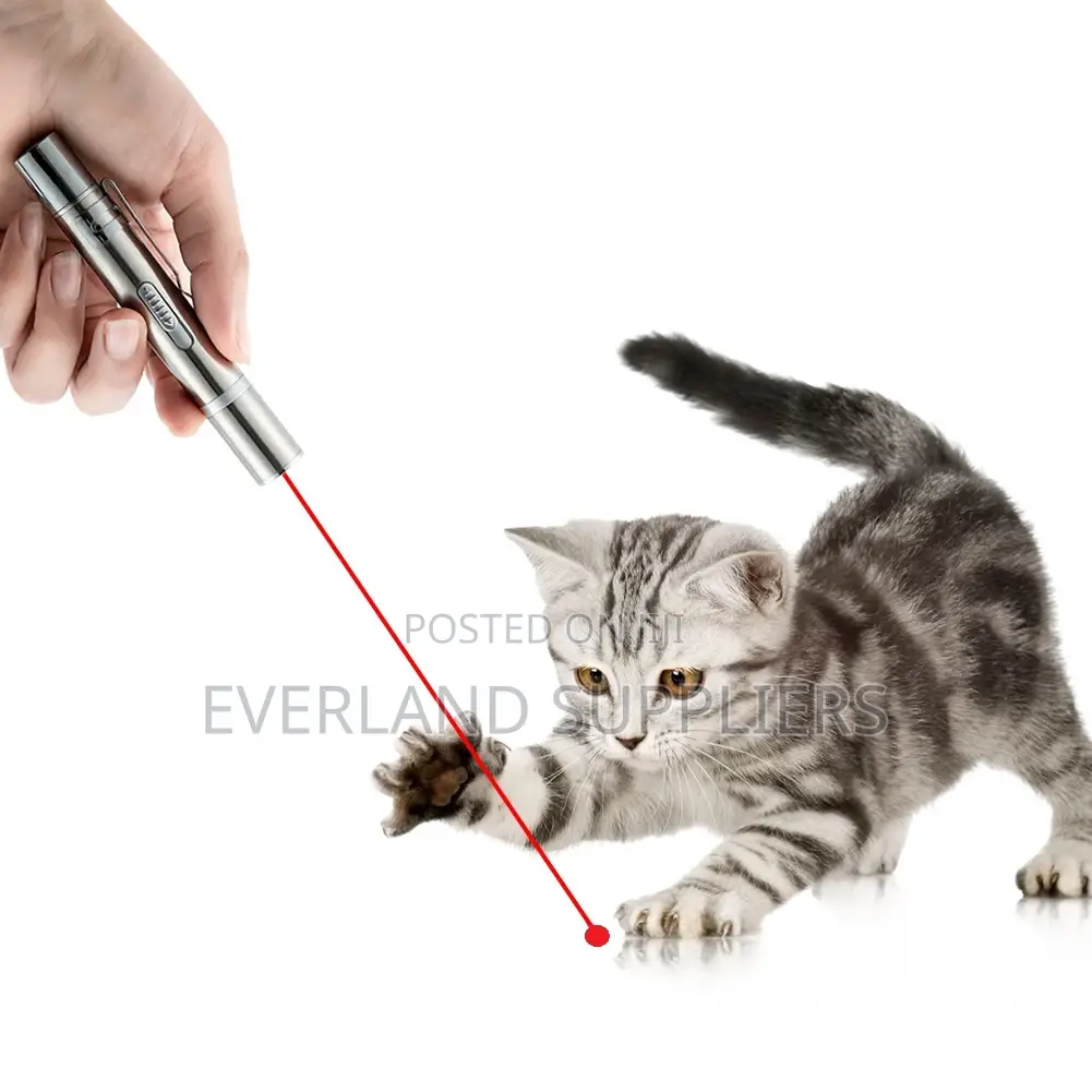 Cat Laser Toy