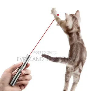 Cat Laser Toy