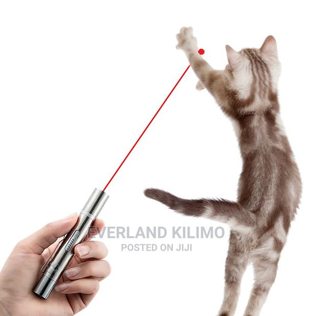 Cat Laser Toy - thumbnail 4