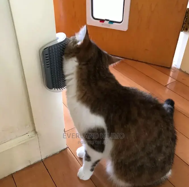 Cat Self Scratcher / Groomer
