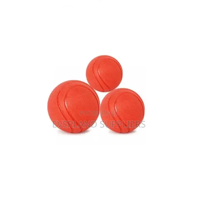 Dog Toy Balls / Fetch Balls