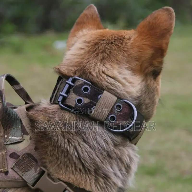 Military Tactical Dog Collar, Heavy Duty Handling Training