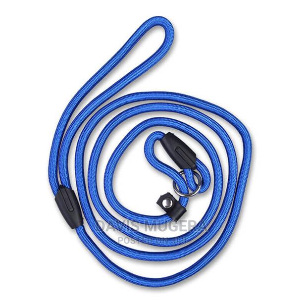 Medium Slip Lead Training/Walking Dog Rope Leash - thumbnail 5