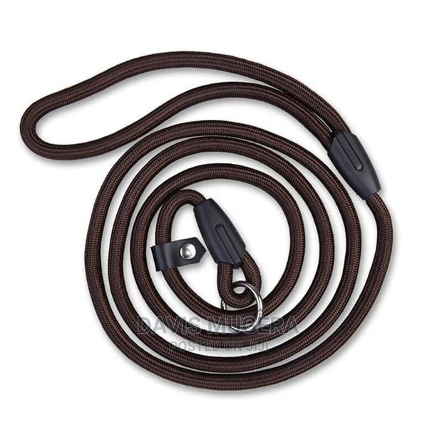 Medium Slip Lead Training/Walking Dog Rope Leash - thumbnail 4