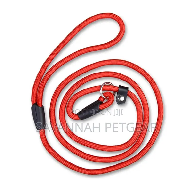 Medium Slip Lead Training/Walking Dog Rope Leash