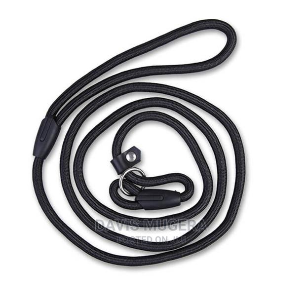 Medium Slip Lead Training/Walking Dog Rope Leash - thumbnail 6