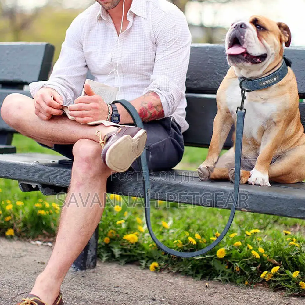 Vip Pu Leather Personalized Dog Id Tag Collar and Leash Set