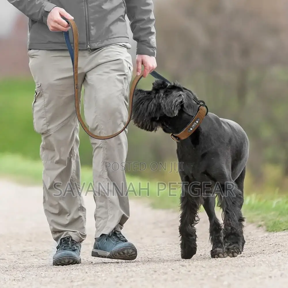 Vip Pu Leather Personalized Dog Id Tag Collar and Leash Set
