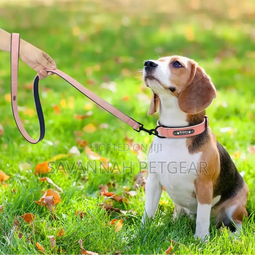 Vip Pu Leather Personalized Dog Id Tag Collar and Leash Set