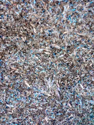 Hybrid Sudan Grass Seeds for Sale