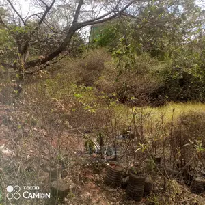 Selling 1 Acre in Westlands Church Rd.
