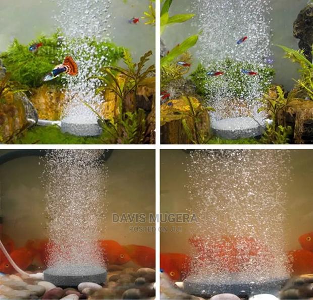 Bubble Disk Sintered Air Stone for Aquariums - thumbnail 3