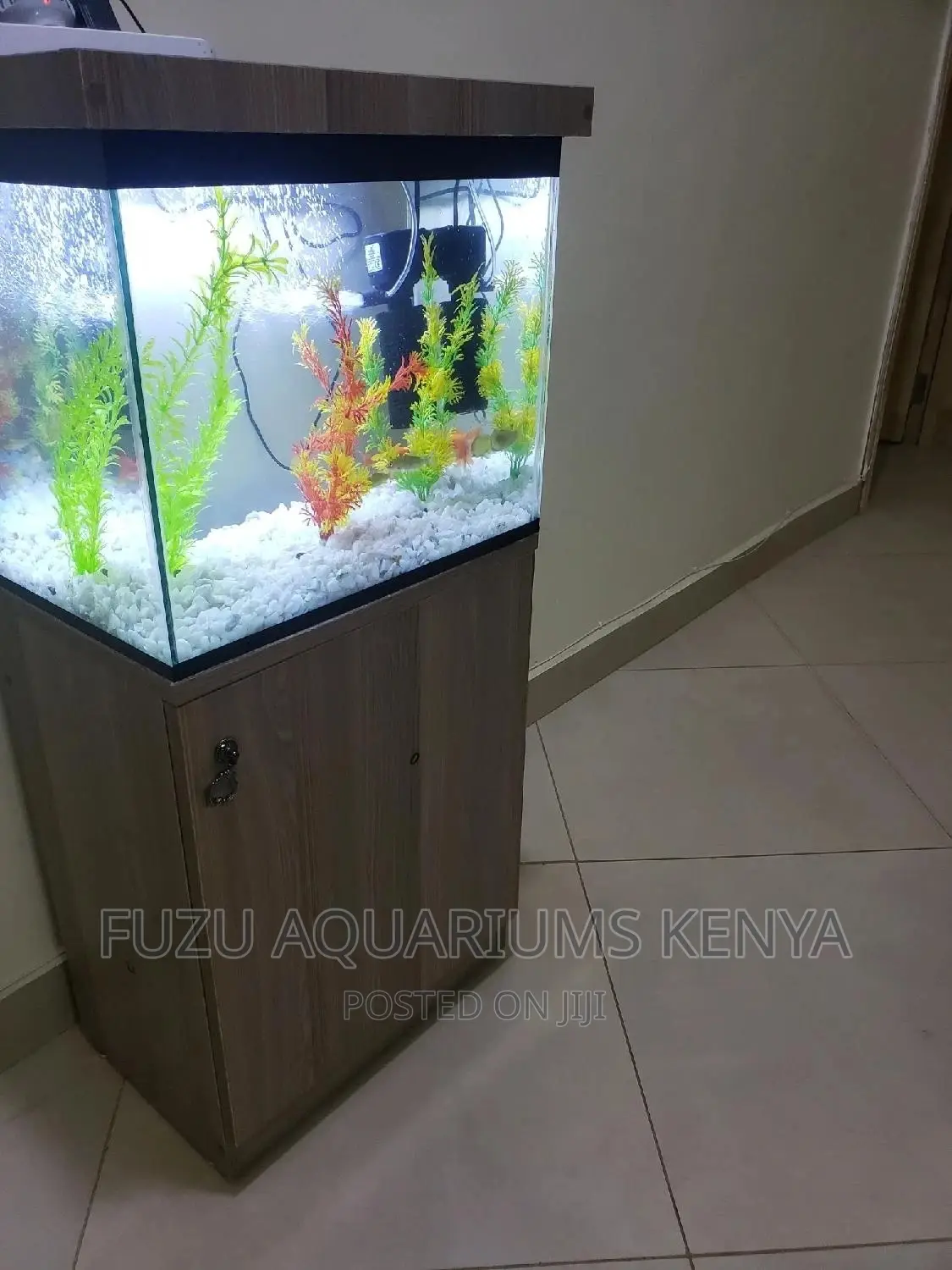 Aquarium Full And Complete