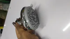 Shower Head / Rose