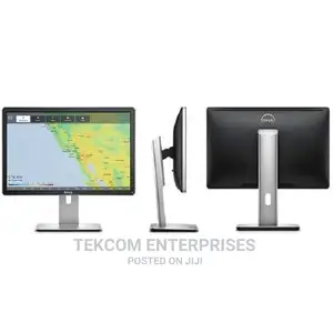 Dell P2016 19.5 Monitor