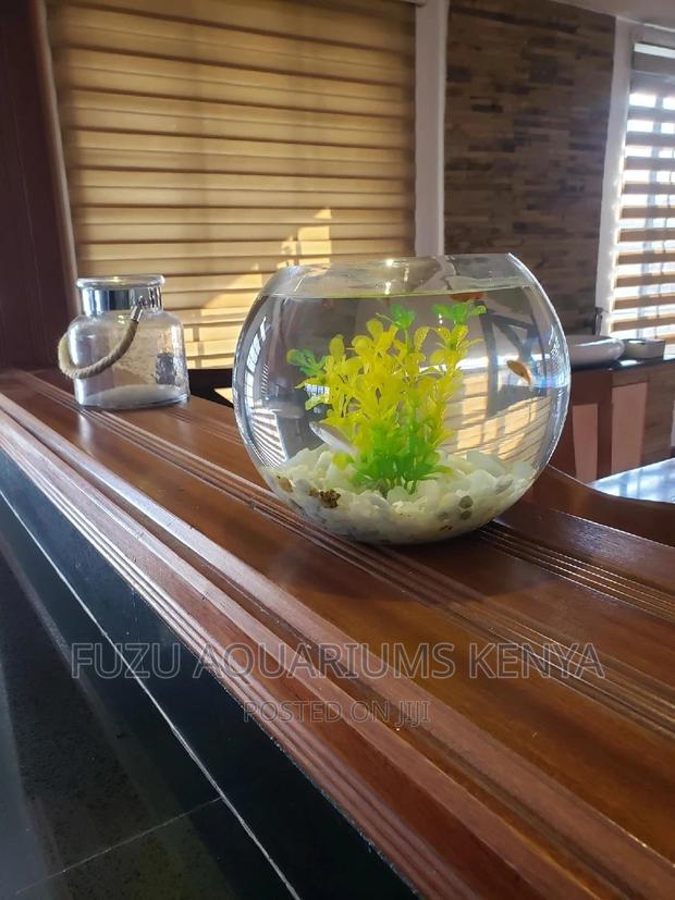 Fish Bowls Round - thumbnail 3