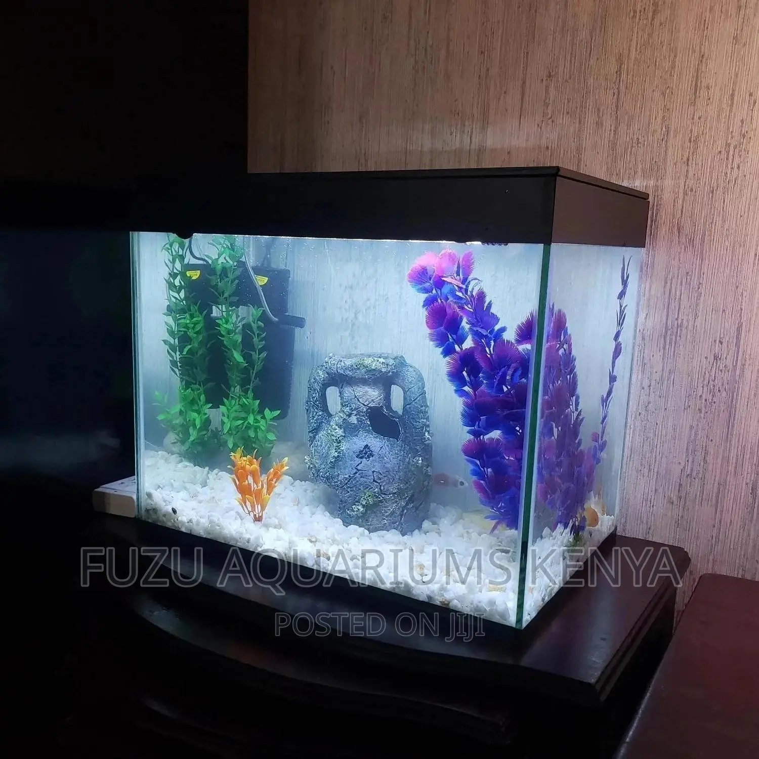 Aquarium With Deco