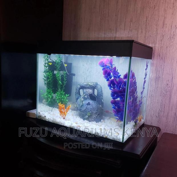 Aquarium With Deco - thumbnail 3