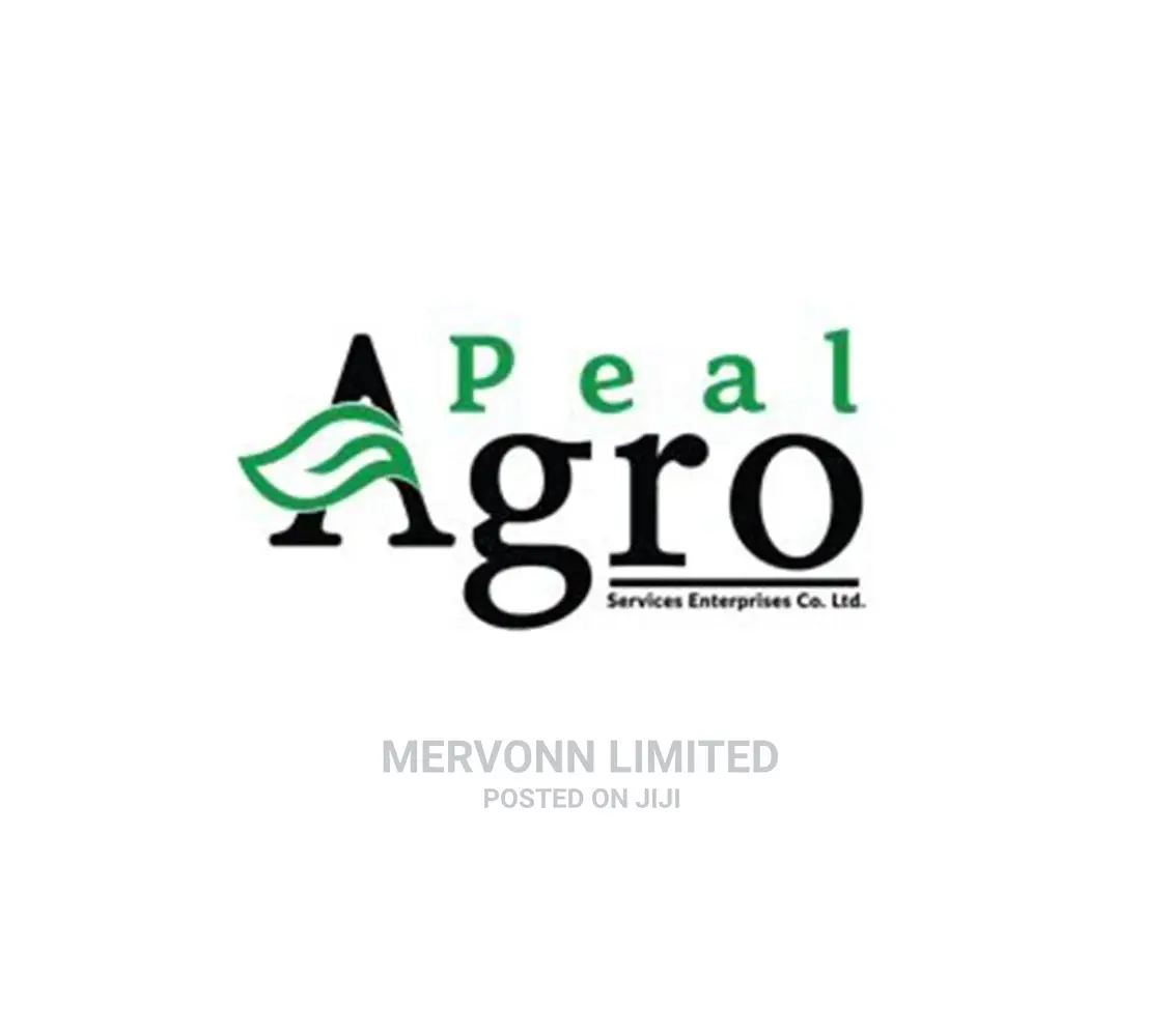 Logo Design and Branding Services