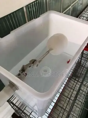 Cistern Tank for Layers Battery Cages and Rabbit Cages - 12l