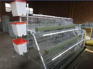 Cistern Tank for Layers Battery Cages and Rabbit Cages - 12l