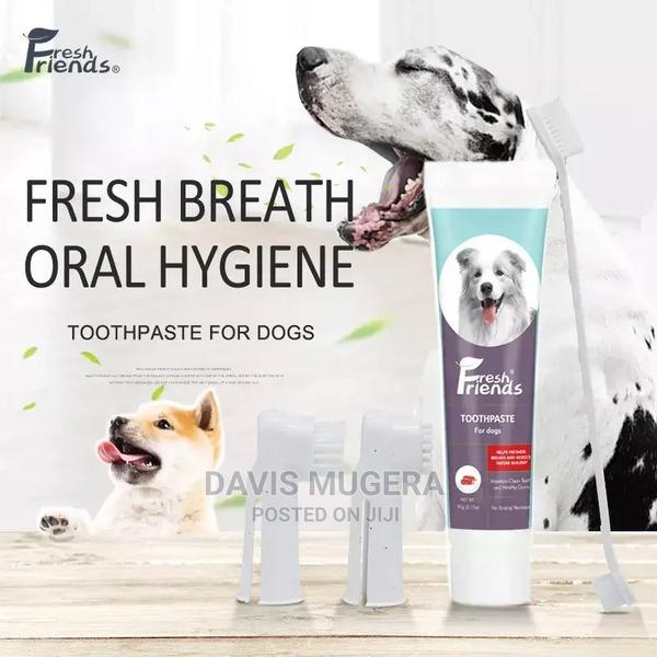 Bio-Enzymatic Beef Flavored Dog Toothpaste Toothbrush Set - thumbnail 3