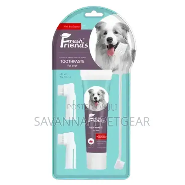 Bio-Enzymatic Beef Flavored Dog Toothpaste Toothbrush Set