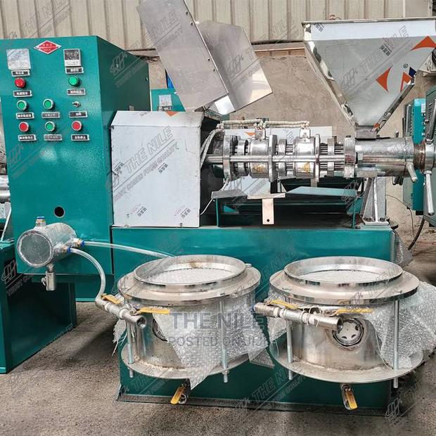 Walnut Screw Oil Presser Machine 200kg/H