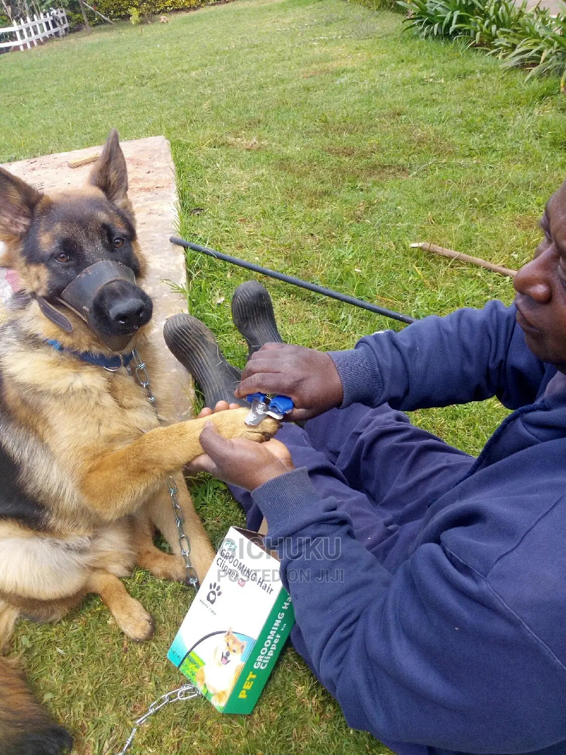 Dog ,Cat,Cow,Sheep,Pig,Rabbit,Poultry Veterinary Services