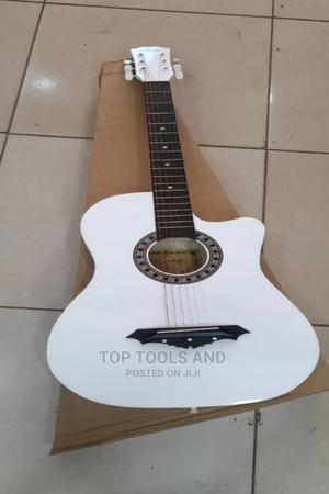 Semi Acoustic Electric Guitar - main view