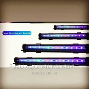 Aquarium Light Multicolored