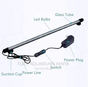 Aquarium Light Multicolored