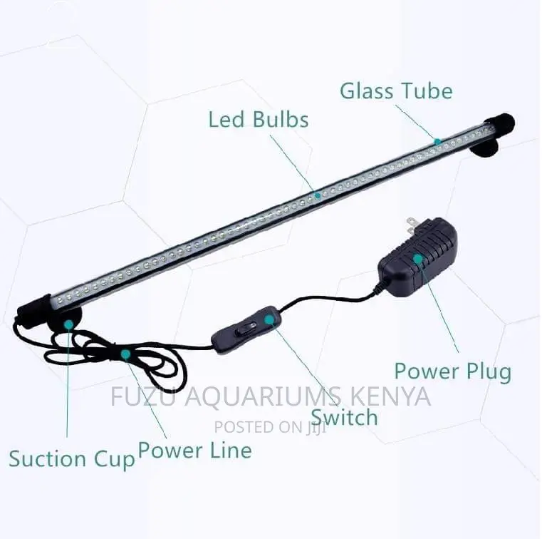 Aquarium Light Multicolored