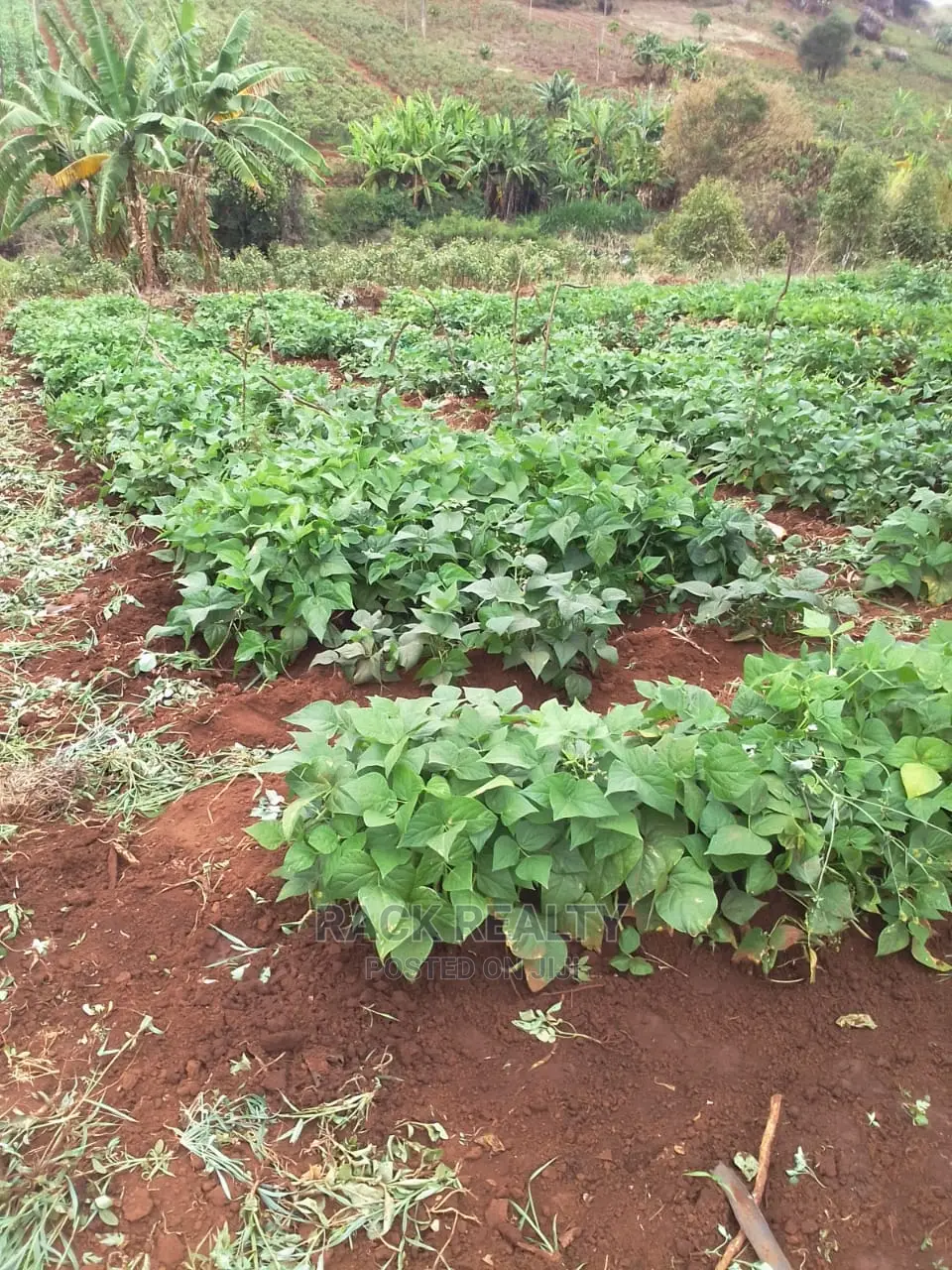 10 Acres Embu Prime Riverfront Land For SALE in Gaturi South Land