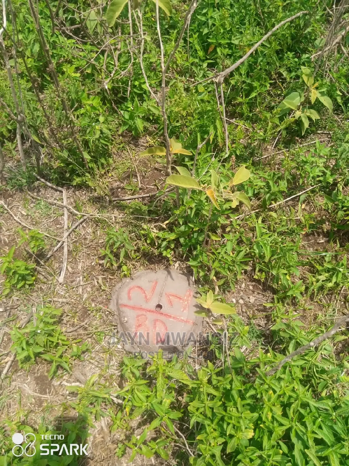 Plot for Sale