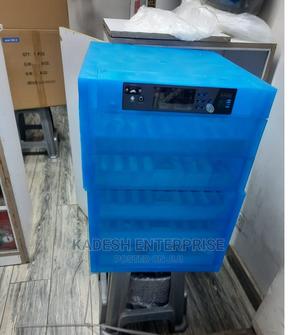 Restocked-256 Eggs Incubator - main view