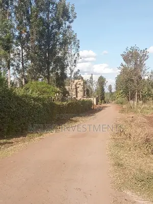 Commercial Plots at Kenol