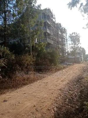 Commercial Plots at Kenol