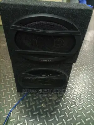 Iriginal Pionneer 6by9 Midranges.
