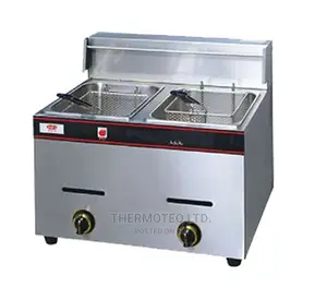 Electric Chips Fryer