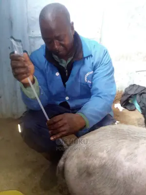 Dog ,Cat,Cow,Sheep,Pig,Rabbit,Poultry Veterinary Services