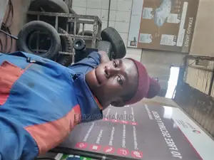 Automotive Engineer/Mechanic