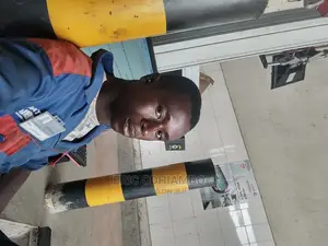 Automotive Engineer/Mechanic