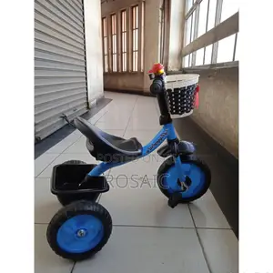 Blue Tricycle! 