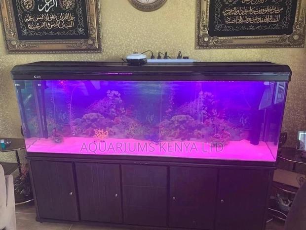 7ft Imported Tank , Crystal Clear Aquarium CAY - main view