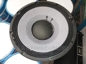 JBL 12 Inch Naked Speaker