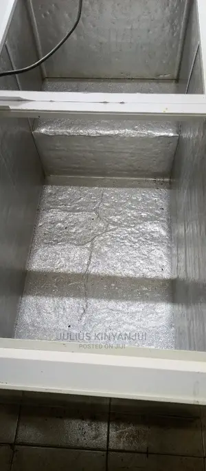 Double Door Freezer